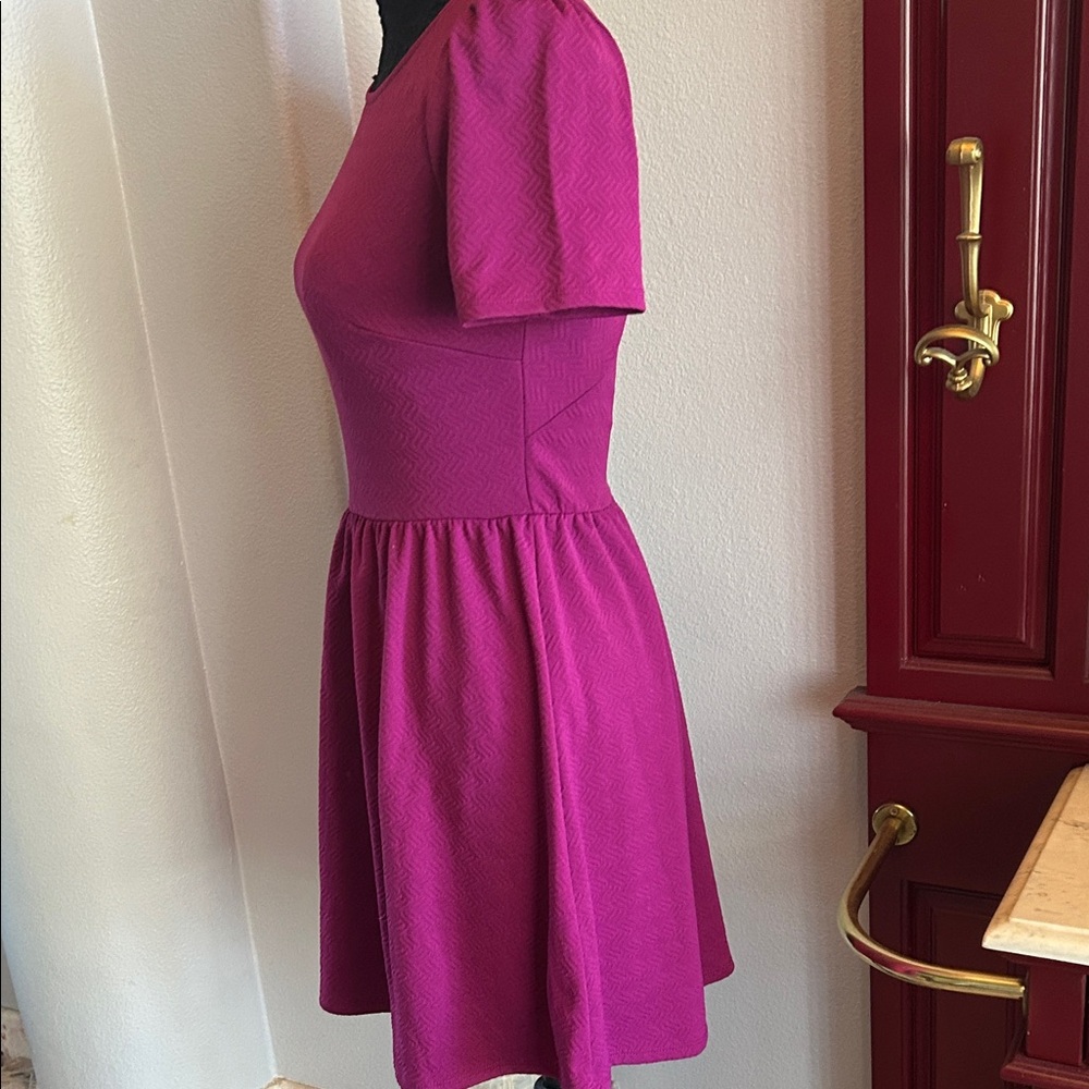 Forever 21 Magenta Skater Dress - Picture 6 of 8